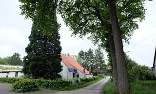 Der schmale Wiesenpfad in Mastbruch wird zu einer verkehrsberuhigten Straße ausgebaut. - Hans-Hermann Igges Der schmale Wiesenpfad in Mastbruch wird zu einer verkehrsberuhigten Straße ausgebaut. - Hans-Hermann Igges