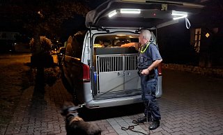 Auf der Suche nach dem Täter waren auch Polizeihunde beteiligt. - Ilja Regier Auf der Suche nach dem Täter waren auch Polizeihunde beteiligt. - Ilja Regier