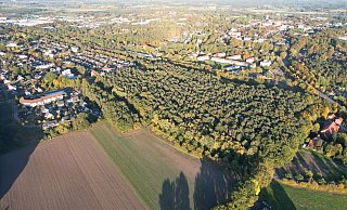 Das Foto zeigt das von der Kreistagsmehrheit favorisierte, dicht bewaldete Grundstück entlang der Gabelhorst in Espelkamp. In der Mitte der Fäche soll die Stadt Espelkamp inzwischen ein Gundstück gekauft haben. - Torsten Hagemann Das Foto zeigt das von der Kreistagsmehrheit favorisierte, dicht bewaldete Grundstück entlang der Gabelhorst in Espelkamp. In der Mitte der Fäche soll die Stadt Espelkamp inzwischen ein Gundstück gekauft haben. - Torsten Hagemann