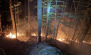 In der Nacht zum Montag war es zu dem Waldbrand gekommen. - Feuerwehr Stat Höxter In der Nacht zum Montag war es zu dem Waldbrand gekommen. - Feuerwehr Stat Höxter