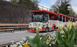 Der Rasende Weserwurm wird gleich in verschiedener Hinsicht kritisiert. Ein Besucher ärgert sich, dass nicht auf den aktuellen Fahrplan hingewiesen wird. Und manch Händler würde sich freuen, wenn die Bimmelbahn auch am Markt hielte. - Nicole Fischer Der Rasende Weserwurm wird gleich in verschiedener Hinsicht kritisiert. Ein Besucher ärgert sich, dass nicht auf den aktuellen Fahrplan hingewiesen wird. Und manch Händler würde sich freuen, wenn die Bimmelbahn auch am Markt hielte. - Nicole Fischer