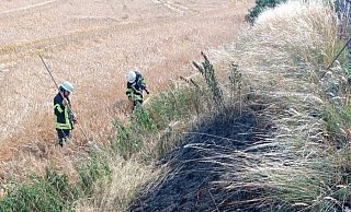Feuerwehr-Einheiten aus dem Stadtgebiet Brakel waren am Sonntag mit dem Löschen von kleineren Böschungsbränden beschäftigt. - FFW Brakel Feuerwehr-Einheiten aus dem Stadtgebiet Brakel waren am Sonntag mit dem Löschen von kleineren Böschungsbränden beschäftigt. - FFW Brakel
