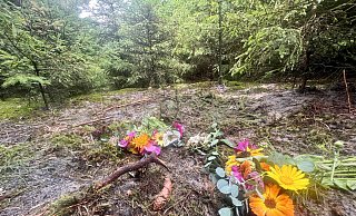 Am Leichenfundort von Marion S. mitten in einer Tannenschonung eines kleines Waldstückes wurden Blumen abgelegt. - Wolfgang Wotke Am Leichenfundort von Marion S. mitten in einer Tannenschonung eines kleines Waldstückes wurden Blumen abgelegt. - Wolfgang Wotke