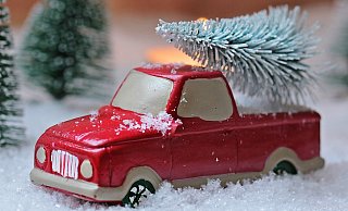 Für den Transport des Weihnachtsbaums müssen einige Regeln beachtet werden, sonst droht ein Bußgeld. (Symbolbild) - Pixabay Für den Transport des Weihnachtsbaums müssen einige Regeln beachtet werden, sonst droht ein Bußgeld. (Symbolbild) - Pixabay