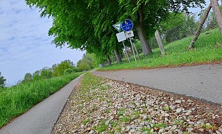 Das Gefahrenpotenzial auf dem Else-Werre-Radweg soll mit einer durchgängigen Asphaltdecke verschwinden. Der Schotterstreifen dient aber Käfern und Amphibien als Querungshilfe. - Peter Heidbrink Das Gefahrenpotenzial auf dem Else-Werre-Radweg soll mit einer durchgängigen Asphaltdecke verschwinden. Der Schotterstreifen dient aber Käfern und Amphibien als Querungshilfe. - Peter Heidbrink