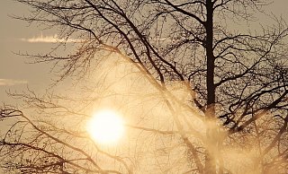 Die Temperaturen sind aktuell zwar niedrig, dafür soll es im Laufe der Woche viel Sonnenschein geben. - Pixabay Die Temperaturen sind aktuell zwar niedrig, dafür soll es im Laufe der Woche viel Sonnenschein geben. - Pixabay