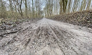 Auch dieser Teil des Radwegs an der Werre in Löhne sorgt immer wieder für Frust bei Radfahrern und Fußgängern. - Dirk Windmöller Auch dieser Teil des Radwegs an der Werre in Löhne sorgt immer wieder für Frust bei Radfahrern und Fußgängern. - Dirk Windmöller
