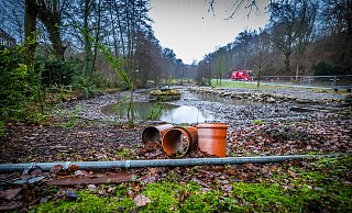Der sogenannte Planschteich mitten in der Hochwasserphase - weitgehend wasserfrei. - Sarah Jonek Fotografie Der sogenannte Planschteich mitten in der Hochwasserphase - weitgehend wasserfrei. - Sarah Jonek Fotografie