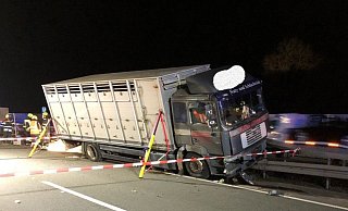 Der Viehtransporter musste nach dem Unfall mit einem Spezialkran geborgen werden. - Autobahnpolizei Der Viehtransporter musste nach dem Unfall mit einem Spezialkran geborgen werden. - Autobahnpolizei