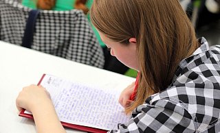Wenn es nach Klasse 10 weitergehen soll mit der Schullaufbahn, dann steht die Entscheidung aus, ob auf einem Gymnasium, einer Gesamtschule oder auch an einem Berufskolleg. - Pixabay Wenn es nach Klasse 10 weitergehen soll mit der Schullaufbahn, dann steht die Entscheidung aus, ob auf einem Gymnasium, einer Gesamtschule oder auch an einem Berufskolleg. - Pixabay