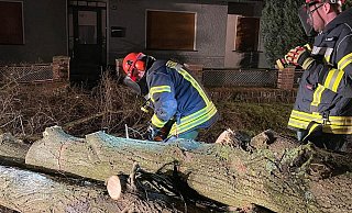 Zwei Feuerwehrleute zerteilen in der Nacht einen umgestürzten Baum. Dieses Foto entstand in der ersten Sturmnacht. - Feuerwehr Löhne Zwei Feuerwehrleute zerteilen in der Nacht einen umgestürzten Baum. Dieses Foto entstand in der ersten Sturmnacht. - Feuerwehr Löhne