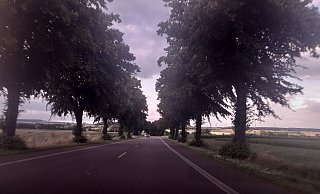 Dunkle Wolken haben sich über den Bäumen auf einem Abschnitt der B252 zusammengebraut. - Simone Flörke Dunkle Wolken haben sich über den Bäumen auf einem Abschnitt der B252 zusammengebraut. - Simone Flörke