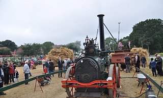 Viele historische Landmaschinen in Aktion werden beim Dreschfest zu bestaunen sein. - Alttraktoren- und Landmaschinenfreunde Dreyen Viele historische Landmaschinen in Aktion werden beim Dreschfest zu bestaunen sein. - Alttraktoren- und Landmaschinenfreunde Dreyen