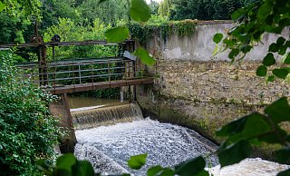 Das Stadtgraben-Wehr am Aawiesenpark sollen zeitnah Experten in Augenschein nehmen und prüfen, ob - und wenn ja wie - sich hier eine Anlage für Fluss-Surfer einrichten ließe. - Ralf Bittner Das Stadtgraben-Wehr am Aawiesenpark sollen zeitnah Experten in Augenschein nehmen und prüfen, ob - und wenn ja wie - sich hier eine Anlage für Fluss-Surfer einrichten ließe. - Ralf Bittner
