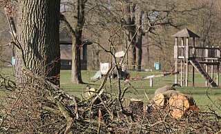 Diese Bäume im Sielpark hat der Sturm gefällt. Mitarbeiter der Stadtwerke Bad Oeynhausen haben das Holz aus dem Weg geräumt und zerkleinert. - Ulf Hanke Diese Bäume im Sielpark hat der Sturm gefällt. Mitarbeiter der Stadtwerke Bad Oeynhausen haben das Holz aus dem Weg geräumt und zerkleinert. - Ulf Hanke