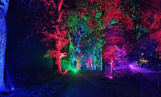 Erstmals leuchtete Höxter im Landesgartenschaujahr 2023. - Huxarium-Gartenpark Erstmals leuchtete Höxter im Landesgartenschaujahr 2023. - Huxarium-Gartenpark
