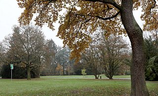 Die Werregärten zwischen Ravensberger und Friedrichs-Gymnasium sollen mit Wegen neu erschlossen werden. - Frank-Michael Kiel-Steinkamp Die Werregärten zwischen Ravensberger und Friedrichs-Gymnasium sollen mit Wegen neu erschlossen werden. - Frank-Michael Kiel-Steinkamp