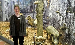 Felicitas Demann ist neue Leiterin des Paderborner Naturkundemuseums. Ausgestopfte Tiere in Glasvitrinen, so wie sie in der jetzigen Dauerausstellung zu sehen sind, sollen nach der Neukonzeption anders präsentiert werden. - Lena Henning Felicitas Demann ist neue Leiterin des Paderborner Naturkundemuseums. Ausgestopfte Tiere in Glasvitrinen, so wie sie in der jetzigen Dauerausstellung zu sehen sind, sollen nach der Neukonzeption anders präsentiert werden. - Lena Henning