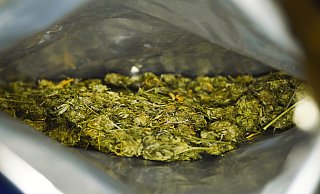 Die beiden Angeklagten sollen in Paderborn kiloweise Marihuana eingelagert haben. - dpa (Themenbild) Die beiden Angeklagten sollen in Paderborn kiloweise Marihuana eingelagert haben. - dpa (Themenbild)
