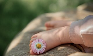 In den vergangenen Tagen sind im Kreis Höxter vier kleine Juli-Jungs zur Welt gekommen. - Pixabay/Irina-Kukuts In den vergangenen Tagen sind im Kreis Höxter vier kleine Juli-Jungs zur Welt gekommen. - Pixabay/Irina-Kukuts