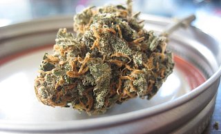 Bislang handelt Four-20-Pharma mit medizinischem Cannabis. Ein Einstieg in den Genuss-Markt wäre vorstellbar. - (Symbolbild) Pixabay Bislang handelt Four-20-Pharma mit medizinischem Cannabis. Ein Einstieg in den Genuss-Markt wäre vorstellbar. - (Symbolbild) Pixabay