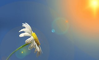 Der Mai beginnt in NRW mit schönem Wetter, das sogar noch besser werden soll. - Pixabay Der Mai beginnt in NRW mit schönem Wetter, das sogar noch besser werden soll. - Pixabay
