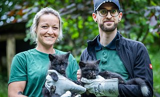 Tierpflegerin Jana Derbogen hält das Mädel im Arm, Tobias Diekmann präsentiert den jungen Rüden. - Sarah Jonek Fotografie Tierpflegerin Jana Derbogen hält das Mädel im Arm, Tobias Diekmann präsentiert den jungen Rüden. - Sarah Jonek Fotografie
