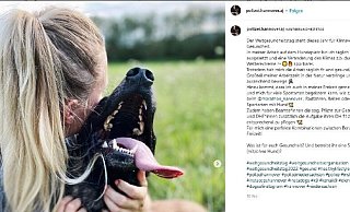 Die Tierliebe eint die Polizistin aus Porta und ihren Lebensgefährten. Mit „Bronson“ (Foto), hat der Partner der Kommissarin, einen Hund mit in die Beziehung gebracht, der denselben Namen wie eine Neonazi-Band hat. - Screenshot: Instagram Die Tierliebe eint die Polizistin aus Porta und ihren Lebensgefährten. Mit „Bronson“ (Foto), hat der Partner der Kommissarin, einen Hund mit in die Beziehung gebracht, der denselben Namen wie eine Neonazi-Band hat. - Screenshot: Instagram