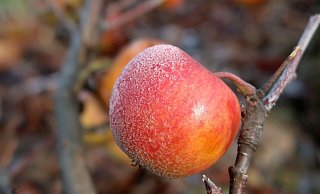 Es wird kälter in Ostwestfalen-Lippe. - Uschi Dugulin/Pixabay Es wird kälter in Ostwestfalen-Lippe. - Uschi Dugulin/Pixabay