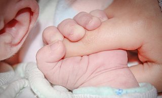 Das St.-Ansgar-Krankenhaus aus Höxter hat die Geburten der vergangenen Wochen gemeldet. - Symbolfoto Pixabay/Michal Jarmoluk Das St.-Ansgar-Krankenhaus aus Höxter hat die Geburten der vergangenen Wochen gemeldet. - Symbolfoto Pixabay/Michal Jarmoluk