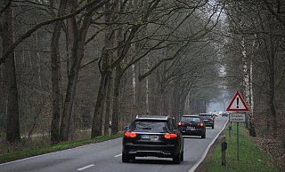 Die Leverner Straße ist die Fortsetzung der L770 auf niedersächsischer Seite und eine wichtige Verbindung zwischen dem Lübbecker Land und dem Osnabrücker Land. Auf dem Abschnitt im Wald gab es schwere Unfälle. - Joern Spreen-Ledebur Die Leverner Straße ist die Fortsetzung der L770 auf niedersächsischer Seite und eine wichtige Verbindung zwischen dem Lübbecker Land und dem Osnabrücker Land. Auf dem Abschnitt im Wald gab es schwere Unfälle. - Joern Spreen-Ledebur