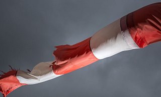 Vor wenigen Tagen hat ein Sturm im Kreis gewütet. - Verwendung weltweit Vor wenigen Tagen hat ein Sturm im Kreis gewütet. - Verwendung weltweit