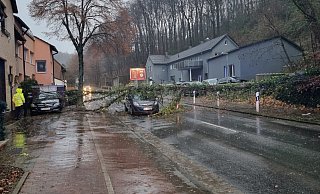 Im Kirchsiek, Porta Westfalica-Hausberge, war ein Baum auf ein fahrendes und ein geparktes Auto gestürzt. Weitere Bäume drohten umzustürzen. - Freiwillige Feuerwehr Porta Westfalica Im Kirchsiek, Porta Westfalica-Hausberge, war ein Baum auf ein fahrendes und ein geparktes Auto gestürzt. Weitere Bäume drohten umzustürzen. - Freiwillige Feuerwehr Porta Westfalica