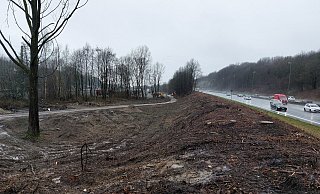 Am Ostwestfalendamm wurden Bäume geschlagen. - unbekannt Am Ostwestfalendamm wurden Bäume geschlagen. - unbekannt