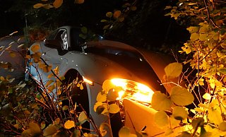 Das Auto wird im Gebüsch aufgefangen. - Paul Brinkmann Das Auto wird im Gebüsch aufgefangen. - Paul Brinkmann