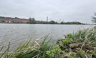 Ungefähr in diesem Bereich gegenüber der Ziegelei fand ein Angler das tote Baby. - Patrick Schwemling Ungefähr in diesem Bereich gegenüber der Ziegelei fand ein Angler das tote Baby. - Patrick Schwemling