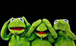 Kermit der Frosch findet die Facebook-Kommentare der NW-Leser ebenfalls witzig. - Symbolbild/Pixabay Kermit der Frosch findet die Facebook-Kommentare der NW-Leser ebenfalls witzig. - Symbolbild/Pixabay