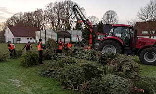 Reichlich Grün: Viele ausgediente Weihnachtsbäume holten die freiwilligen Helfer bei der Aktion des CVJM Rahden ab. Foto: CVJM Rahden / Oliver Nickel - CVJM Rahden / Oliver Nickel Reichlich Grün: Viele ausgediente Weihnachtsbäume holten die freiwilligen Helfer bei der Aktion des CVJM Rahden ab. Foto: CVJM Rahden / Oliver Nickel - CVJM Rahden / Oliver Nickel