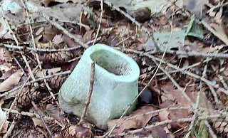 Gruselig: Besonders in Kombination mit Damenschuh und Strumpfhose wurde dem Finder dieses Knochens mulmig zumute. - privat Gruselig: Besonders in Kombination mit Damenschuh und Strumpfhose wurde dem Finder dieses Knochens mulmig zumute. - privat