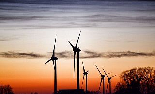 Fünf neue Windräder will und darf das Brakeler Unternehmen Maka-Windkraft im Bereich Fürstenau errichten – die Stadt klagt dagegen. Symbolbild: Joern Spreen-Ledebur - Symbolbild: Joern Spreen-Ledebur Fünf neue Windräder will und darf das Brakeler Unternehmen Maka-Windkraft im Bereich Fürstenau errichten – die Stadt klagt dagegen. Symbolbild: Joern Spreen-Ledebur - Symbolbild: Joern Spreen-Ledebur