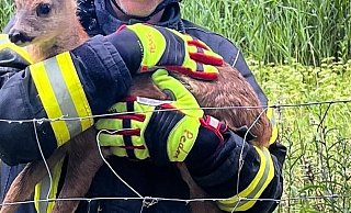 Feuerwehreinsatz an der A2 in Lämershagen. - Feuerwehr Bielefeld Feuerwehreinsatz an der A2 in Lämershagen. - Feuerwehr Bielefeld