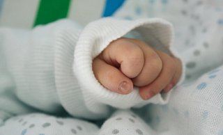 Im Juli und August kamen zahlreiche Kinder im Kreis Paderborn auf die Welt. - Pexels Im Juli und August kamen zahlreiche Kinder im Kreis Paderborn auf die Welt. - Pexels