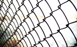 Tiere sind entkommen, weil Besucher nachts Gehege aufgeschnitten haben. - Symbolfoto Tiere sind entkommen, weil Besucher nachts Gehege aufgeschnitten haben. - Symbolfoto