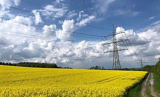 Leuchtende Rapsfelder, Wolkenberge und das intensive Blau des Himmels fügen sich zu einer prächtigen Farbkomposition. - Silke Kröger Leuchtende Rapsfelder, Wolkenberge und das intensive Blau des Himmels fügen sich zu einer prächtigen Farbkomposition. - Silke Kröger