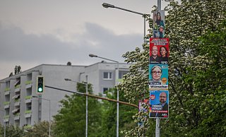 Die aktuellen Zahlen des LKA zur Zerstörung von Wahlplakaten stammen aus Rückmeldungen der örtlichen Polizeibehörden. - Jan Woitas Die aktuellen Zahlen des LKA zur Zerstörung von Wahlplakaten stammen aus Rückmeldungen der örtlichen Polizeibehörden. - Jan Woitas