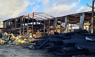 Fast symbolisch wirken die Sonnenstrahlen, die am Montagmorgen durch die zerstörte Halle fallen. "Wir werden wieder aufbauen", so lautet die Devise bei den Mitarbeitern. - Marianne Schwarzer Fast symbolisch wirken die Sonnenstrahlen, die am Montagmorgen durch die zerstörte Halle fallen. "Wir werden wieder aufbauen", so lautet die Devise bei den Mitarbeitern. - Marianne Schwarzer