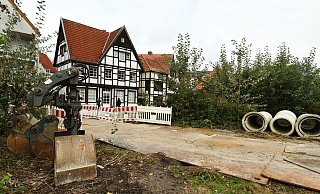 Der Tornado hat viele Bäume im Geisselschen Garten in Paderborn zerstört. In der Zwischenzeit hat sich die Natur einen großen Teil der Flächen zurückerobert. Diese sogenannten Sukzessionsflächen sollen in Teilen erhalten bleiben. - Lena Henning Der Tornado hat viele Bäume im Geisselschen Garten in Paderborn zerstört. In der Zwischenzeit hat sich die Natur einen großen Teil der Flächen zurückerobert. Diese sogenannten Sukzessionsflächen sollen in Teilen erhalten bleiben. - Lena Henning