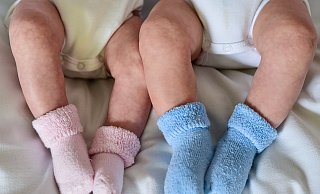 Sechs Säuglinge haben in den vergangenen Wochen das Licht der Welt erblickt. - Patrick Pleul/dpa Sechs Säuglinge haben in den vergangenen Wochen das Licht der Welt erblickt. - Patrick Pleul/dpa