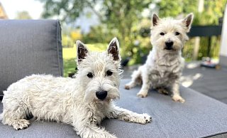 Berta und Luna sind ein absolutes Dreamteam. - Privat Berta und Luna sind ein absolutes Dreamteam. - Privat