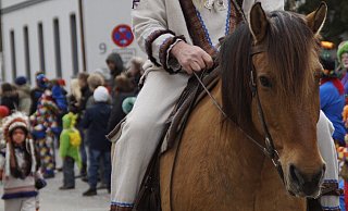 Pferde werden weiterhin in Karnevalszügen zu sehen sein. - Pixabay (Symbolfoto) Pferde werden weiterhin in Karnevalszügen zu sehen sein. - Pixabay (Symbolfoto)